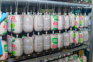 ГК "Ариант" ГК "Ариант"